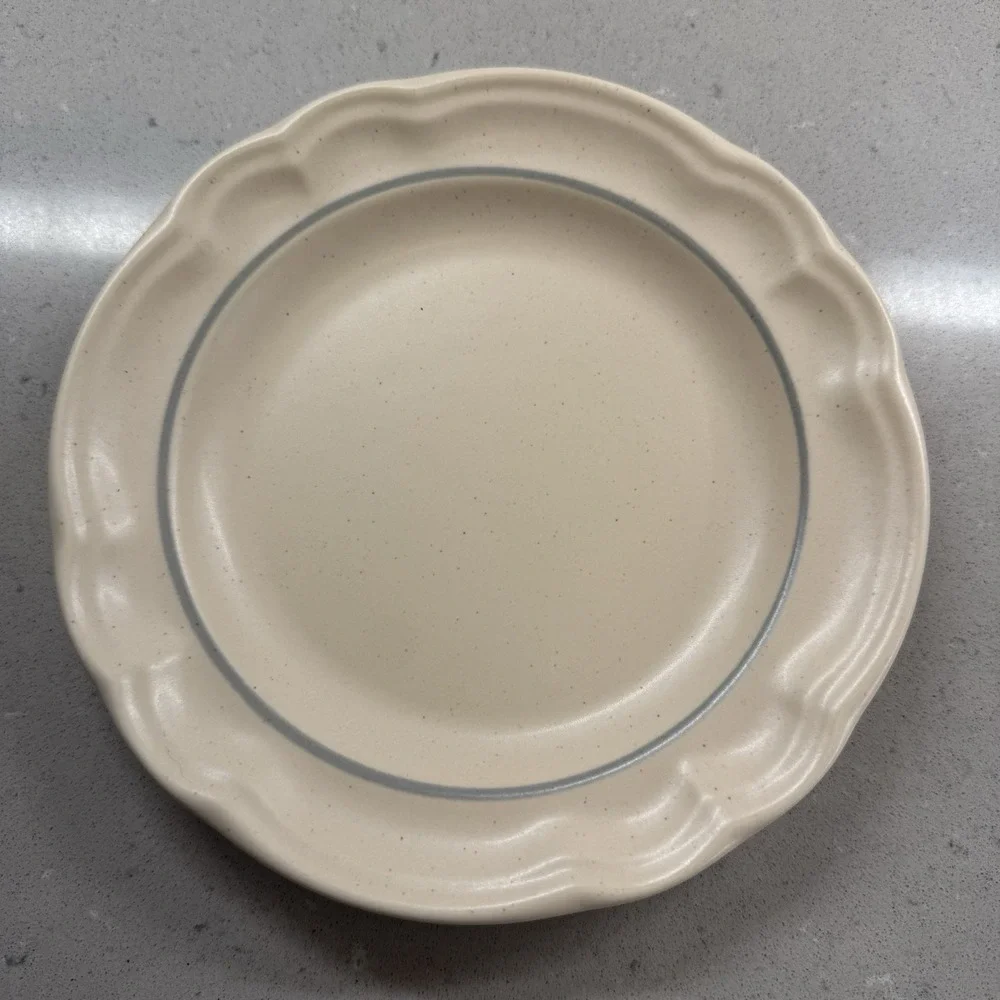 PFALTZGRAFF REMEMBRANCE Set Of 16, 4 Each Dinner, Salad, Saucer Plates, Tea Cups